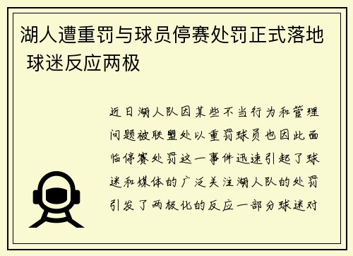湖人遭重罚与球员停赛处罚正式落地 球迷反应两极